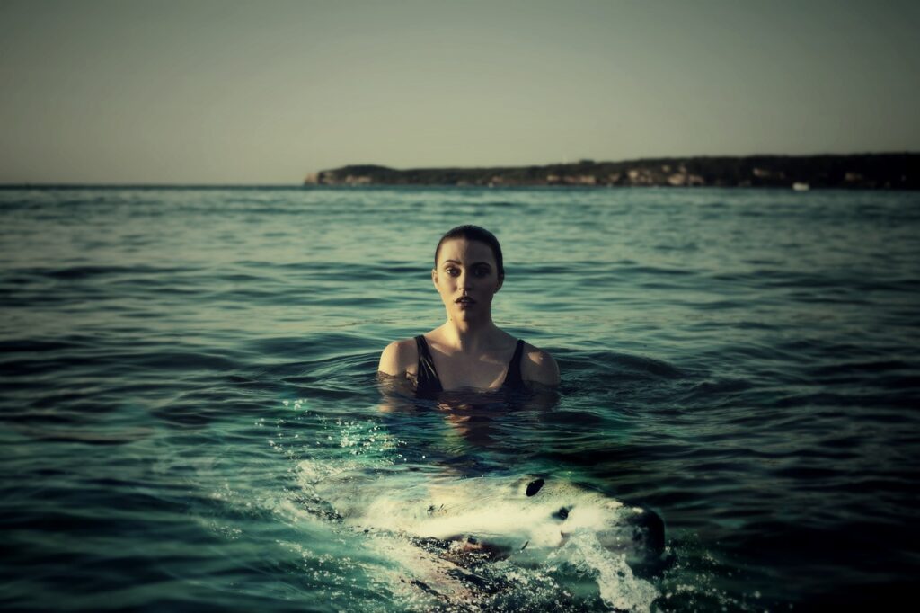 minyak hati ikan hiu